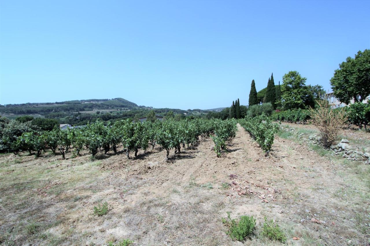 Bastide La Marraine Villa Le Castellet  Buitenkant foto